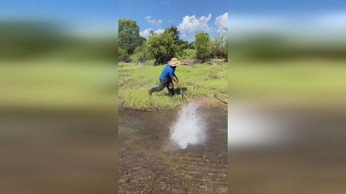 户外捕鱼在线视频下载网站,畅享渔猎乐趣的数字平台